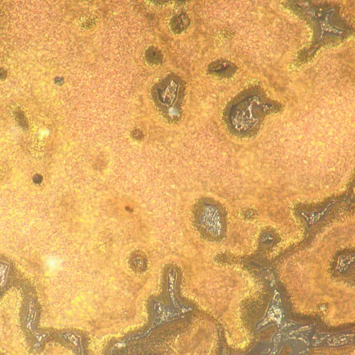 foto microscopio metallografico digitale MAGUS Metal D650,  23