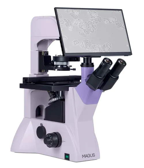 foto microscopio biologico invertito digitale MAGUS Bio VD350 LCD,  4