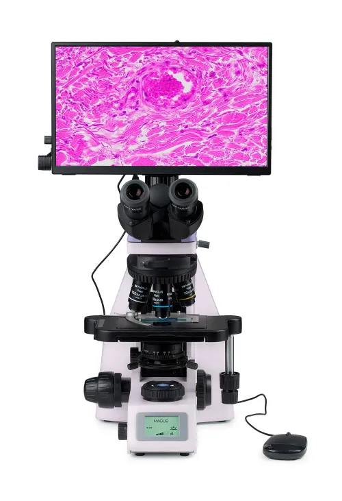 foto microscopio biologico digitale MAGUS Bio D260T LCD,  8
