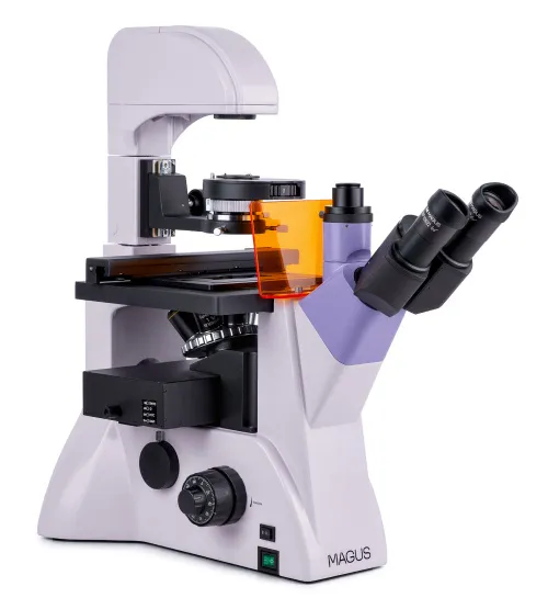 immagine microscopio a fluorescenza invertito MAGUS Lum V500L,  4