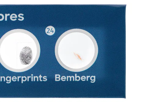 fotografia levenhuk Discovery Flora & Fauna Set con 24 vetrini preparati,  9