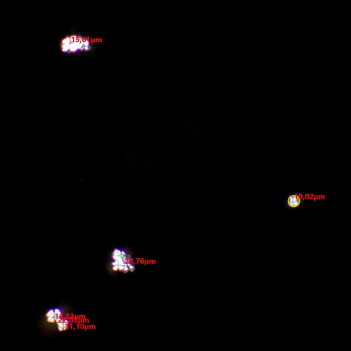 foto set polarizzatore/analizzatore MAGUS SPD1,  8