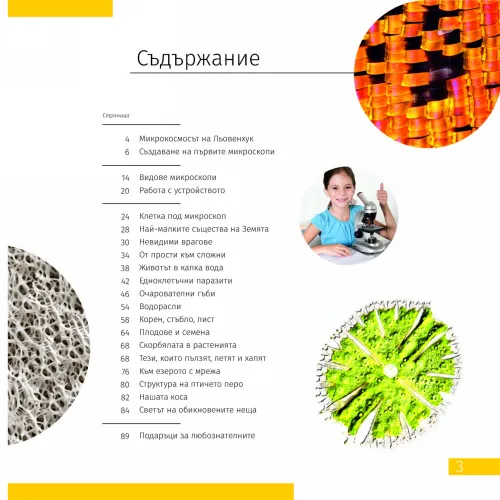 figura mondo invisibile. Libro educativo,  2