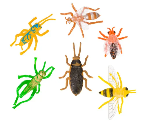 immagine kit di esplorazione Levenhuk Discovery Basics EK90,  14