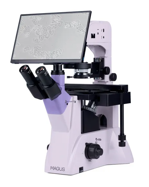 foto microscopio biologico invertito digitale MAGUS Bio VD350 LCD,  3