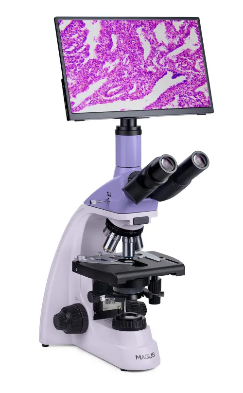 immagine microscopio biologico digitale MAGUS Bio D250T LCD,  4
