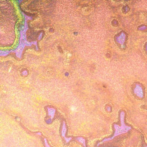 figura microscopio metallografico invertito MAGUS Metal V790 DIC,  22