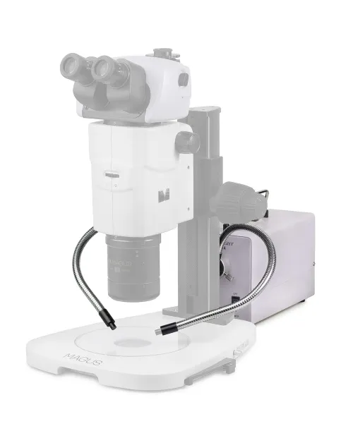 fotografia luce fredda con doppia guida luminosa MAGUS CLI18T,  4