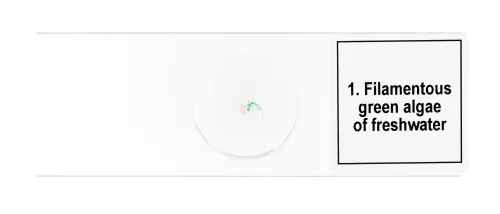 foto set di micropreparati Levenhuk Discovery Prof DPS 5. “Biologia”,  7
