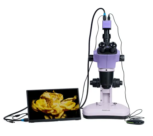 figura microscopio stereoscopico digitale MAGUS Stereo D9T LCD,  6