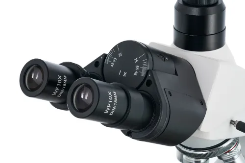 immagine microscopio trinoculare Levenhuk 900T,  6