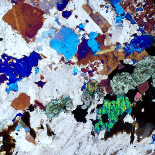 figura microscopio polarizzatore digitale MAGUS Pol D800,  19