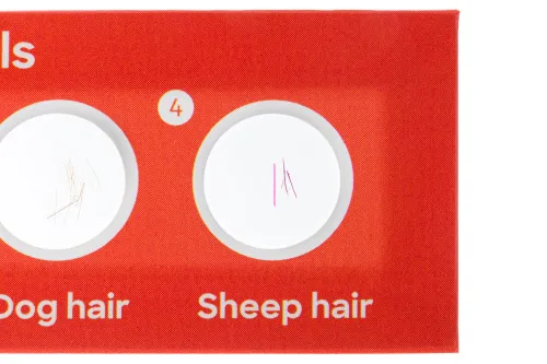 fotografia levenhuk Discovery Fauna Set con 12 vetrini preparati,  4