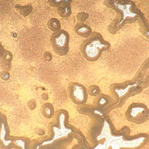 fotografia microscopio metallografico digitale MAGUS Metal D650 LCD,  24