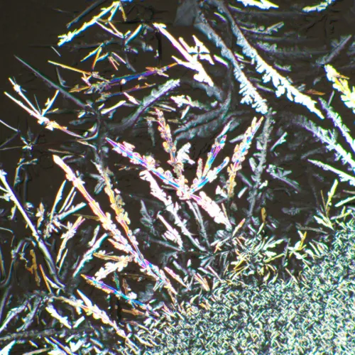 foto set polarizzatore/analizzatore MAGUS SPD1,  6