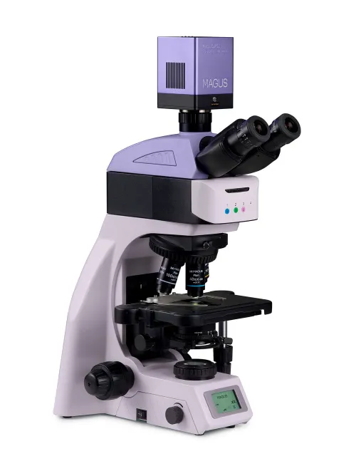 immagine microscopio a fluorescenza digitale MAGUS Lum D460L,  3