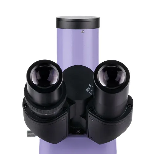 fotografia microscopio a fluorescenza MAGUS Lum 400,  13