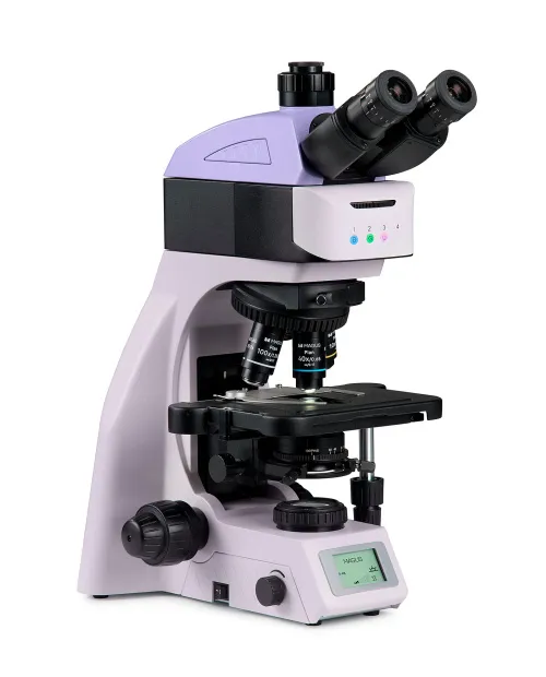 immagine microscopio a fluorescenza MAGUS Lum 460L,  2