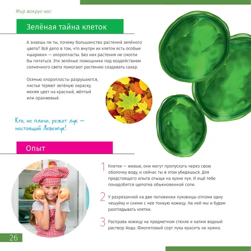 figura mondo invisibile. Libro educativo,  4