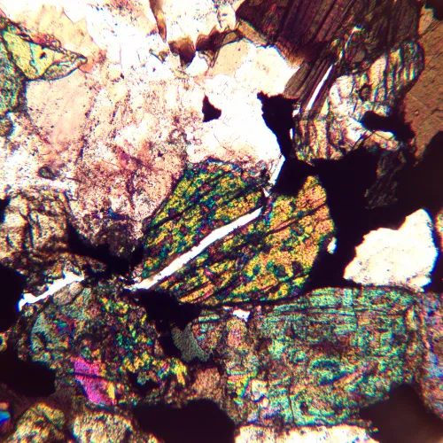 foto microscopio polarizzatore MAGUS Pol 890,  24