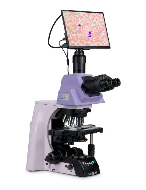 fotografia microscopio biologico digitale MAGUS Bio D290T LCD,  3