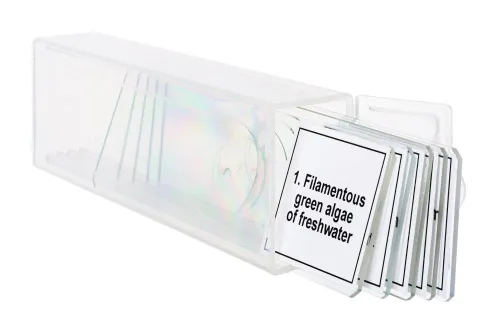 foto set di micropreparati Levenhuk Discovery Prof DPS 5. “Biologia”,  5