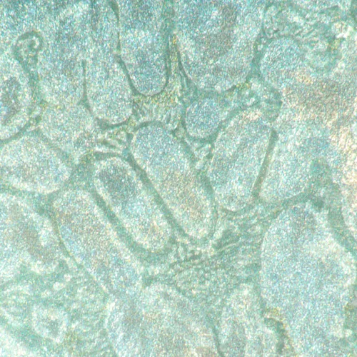 immagine microscopio metallografico invertito digitale MAGUS Metal VD700,  22