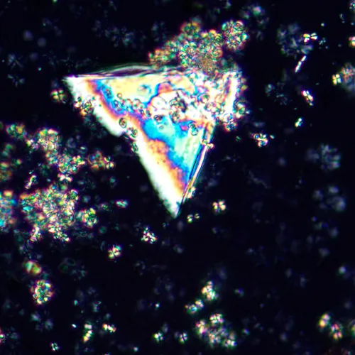 foto microscopio polarizzatore digitale MAGUS Pol D850 LCD,  27