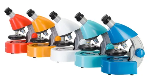 fotografia microscopio Levenhuk Discovery Micro con libro,  3