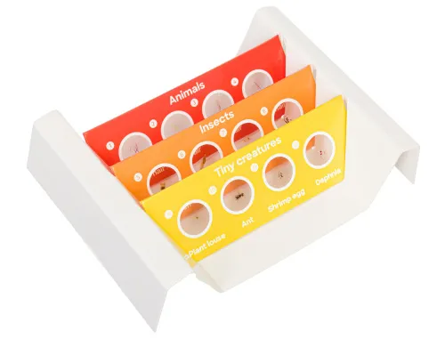 fotografia levenhuk Discovery Fauna Set con 12 vetrini preparati,  2