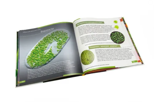 immagine mondo invisibile. Libro educativo. Copertina rigida,  9
