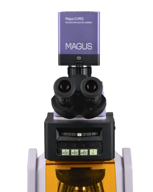 immagine microscopio a fluorescenza digitale MAGUS Lum D470L,  11