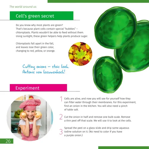 fotografia microscopio Levenhuk Discovery Centi 01 con libro,  5