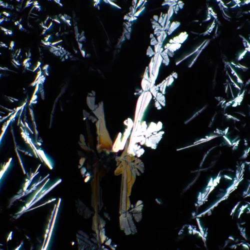 foto set polarizzatore/analizzatore MAGUS SPD1,  7