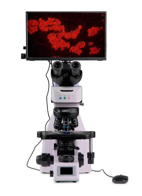 foto microscopio digitale a fluorescenza MAGUS Lum D460L LCD,  9