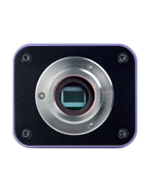 immagine microscopio a fluorescenza digitale MAGUS Lum D400 LCD,  25