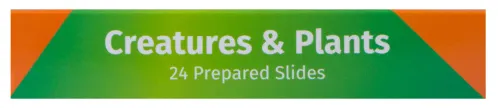 immagine levenhuk LabZZ CP24 Set di vetrini preparati Piante e Animali,  12