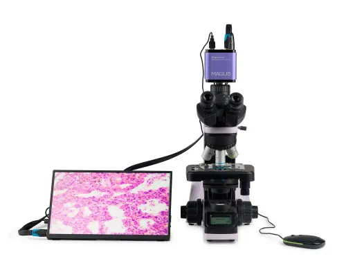 figura microscopio biologico digitale MAGUS Bio D240T LCD,  5