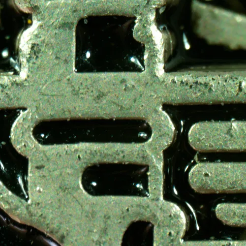 fotografia microscopio stereoscopico MAGUS Stereo A10,  16