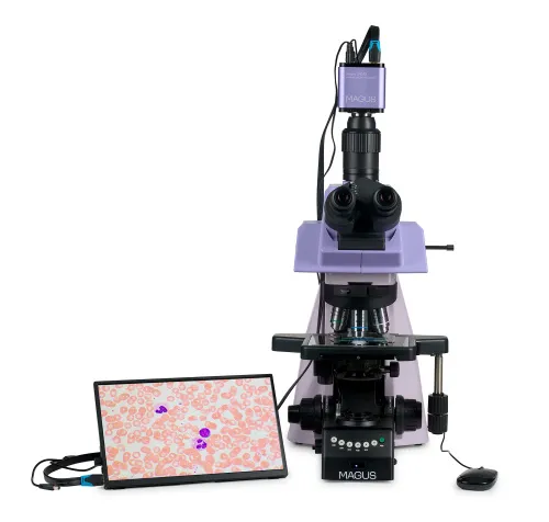 fotografia microscopio biologico digitale MAGUS Bio D290T LCD,  8