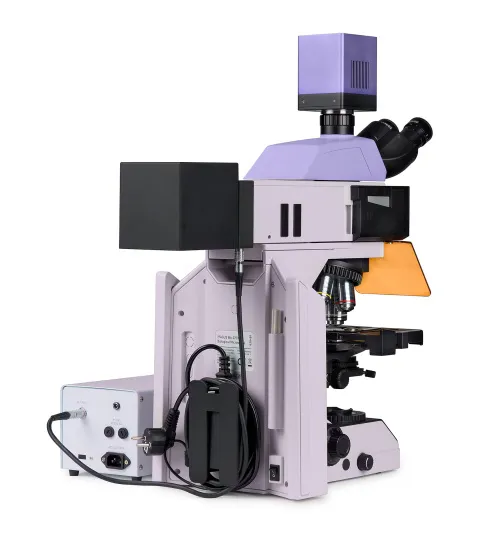 immagine microscopio a fluorescenza digitale MAGUS Lum D470L,  7
