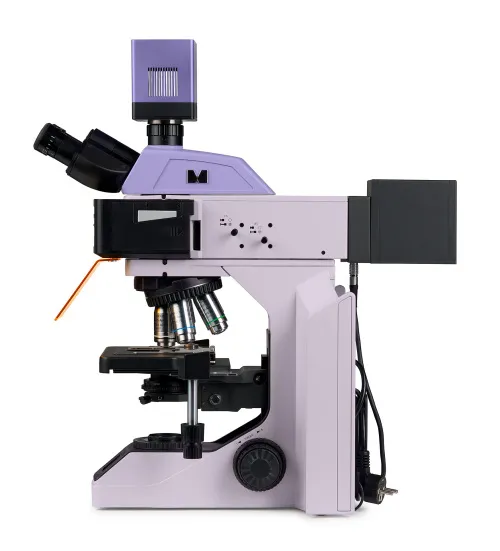 immagine microscopio a fluorescenza digitale MAGUS Lum D470L,  4