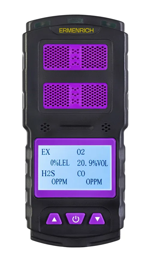 fotografia rilevatore di gas Ermenrich NG60,  4