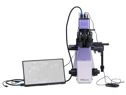 foto microscopio biologico invertito digitale MAGUS Bio VD300 LCD,  6