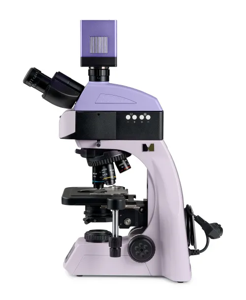 immagine microscopio a fluorescenza digitale MAGUS Lum D460L,  4