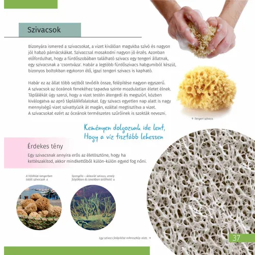 fotografia spazio. Microcosmo. Libro educativo in 2 volumi,  8