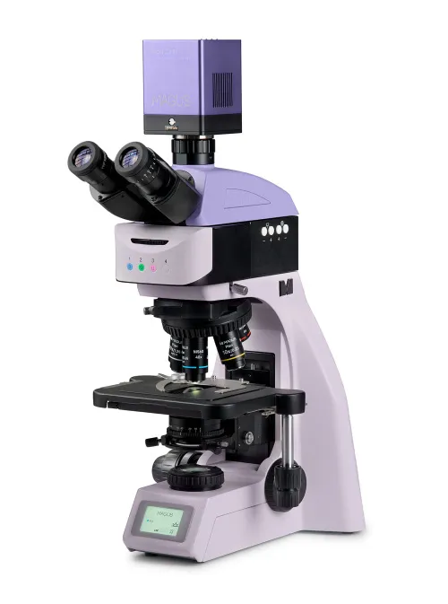 immagine microscopio a fluorescenza digitale MAGUS Lum D460L,  2