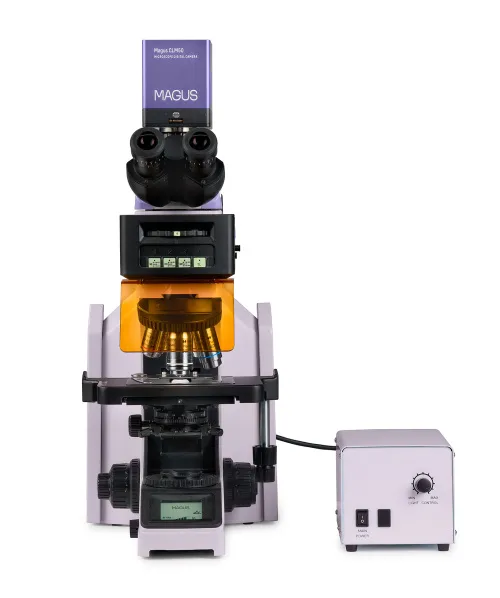 immagine microscopio a fluorescenza digitale MAGUS Lum D470L,  9