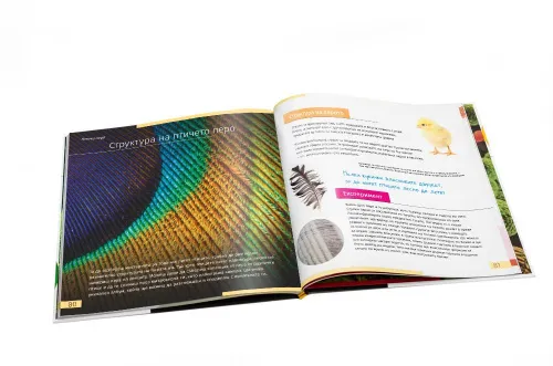 immagine mondo invisibile. Libro educativo. Copertina rigida,  10