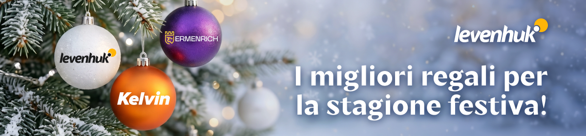 gifts_600x140_it.png